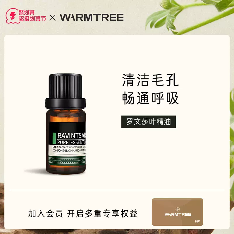 WarmTree 暖树