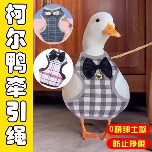 Ker Duck Ding Rope Lighty Duck Walking Duck Rope Chicken Smooth Goose Soldiers Special Out of Chicken Main Duck Products
