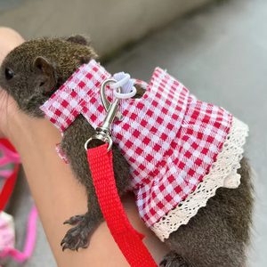 
Hanhanle kitten traction rope vest-style ferret goes out to prevent breakaway walking squirrel traction rope guinea pig goes out