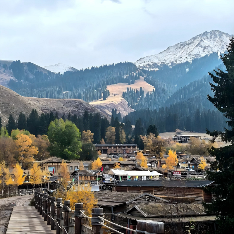 新疆伊犁2-6人纯玩小团8日游跟团+赛里木湖+琼库什台+独山子峡谷