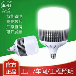 Asian Standard Led Light Bulb E27 Screw Base Super Bright High-Power Bulb Energy-Saving Lamp 100W200W Household Factory Lighting Lamp