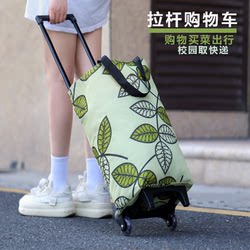 Foldable Portable Trolley for Home, Supermarket, Grocery Shopping, Campus Dormitory, and Package Delivery