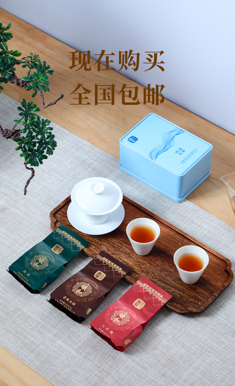 大紅袍 武夷岩茶　茶葉 12個入り　ギフトセット O1CN01TpxnMY24SfnaPImNd_!!