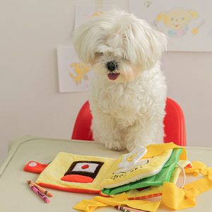 
ins Dog sound toy grinding teeth and relieving boredom puppy toy cat pet hide food book smell smell mat