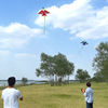 Kite weifang hengjiang aircraft fighter children cartoon easy to fly adult small easy to fly long tail child kite