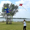 Kite weifang hengjiang aircraft fighter children cartoon easy to fly adult small easy to fly long tail child kite