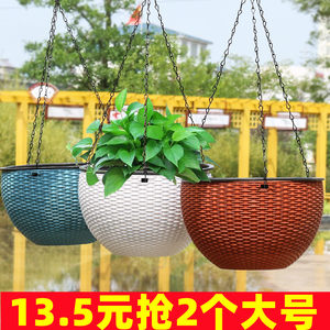 Dynamic hanging orchid pot hanging plastic scratch ribbon hanging basket lazy water absorption wall green dill Changchun vine hanging ball thickened