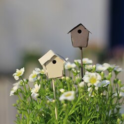 Wrought Iron Small House Flower Arrangement, Gardening Miscellaneous Items, Vintage Courtyard Decoration, Succulent Decoration, Micro-Landscape Insert