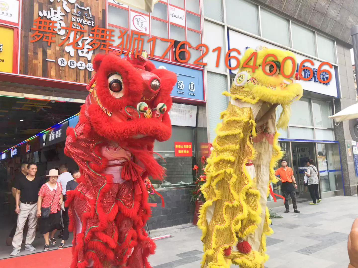 上海中秋国庆舞龙舞狮表演公司庆开业舞狮子表演年会 上海中秋国庆舞龙舞狮表演公司庆开业舞狮子表演年会