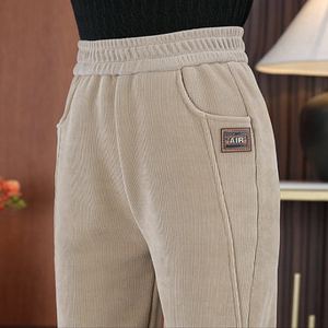 Pluser thickened casual pants female 2024 autumn and winter new models thin waist high waist straight pants pants warm small pants
