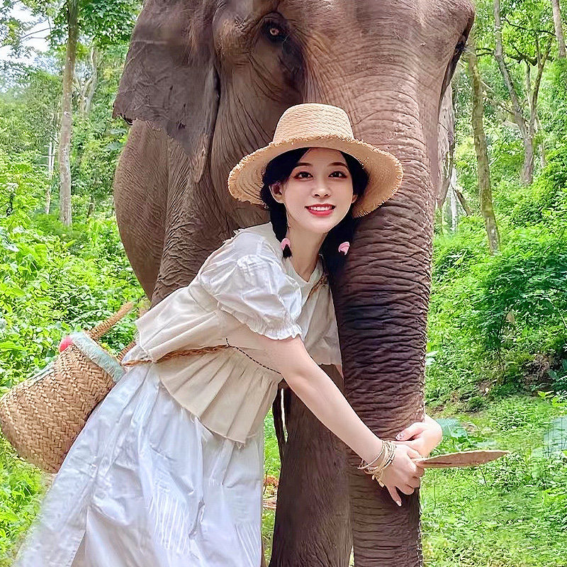 西双版纳野象谷一日游可选雨林牧象 曼掌村 大象体检 大象洗澡