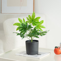 Artificial Green Plant, Octagonal Gold Plate Small Potted Plant, Landscaping Accessory, Soft Decoration, Indoor Window Display Ornament, Simulated Fake Plant