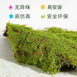 Simulated Moss Micro-Landscape Plant Four-Season Evergreen Bionic Green Plant Fake Turf Indoor Desktop Paving Carpet