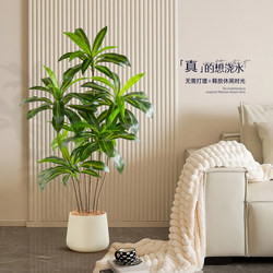 Artificial Green Plant Brazilian Wood Indoor Living Room Sofa Side Decoration Light Luxury Large Floor-Standing Potted Plant Ornament Fake Plant Tree