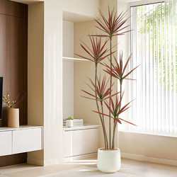 Millennium Wood Simulated Green Plants Classy Accessible Luxury Large Indoor Living Room Dragon Blood Tree Fake Flower Plant Potted Floor-Standing Ornaments
