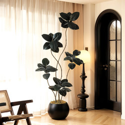 Black Diamond Artificial Green Plant, High-End Light Luxury Indoor Tv Cabinet Decoration, Floor-Standing Ornament, Bionic Fake Plant, Rubber Tree