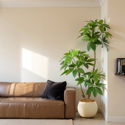 Artificial Green Plant Large Leaf Umbrella Potted Plant for Living Room Sofa Side, Bionic Tree Large Ornament, Floor-Standing Decoration, Indoor High-End Landscaping