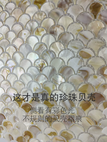 Натуральная раковина мозаика самозавира