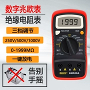 Máy đo điện trở cách điện kỹ thuật số Binjiang 500A megohmmeter điện tử nhỏ gọn tiện lợi 1000V500V250