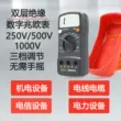 Máy đo điện trở cách điện kỹ thuật số Binjiang 500A megohmmeter điện tử nhỏ gọn tiện lợi 1000V500V250
