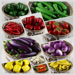 Simulated Vegetables, Fake Vegetable Models, Cabinet Decorations, Simulated Fruit and Vegetable Sets, Preschool Education Vegetable Props