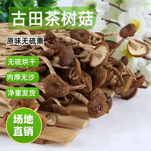 茶樹菇- Top 1000件茶樹菇- 2024年3月更新- Taobao