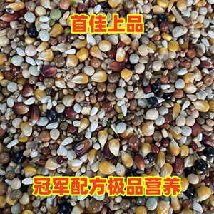 
The best top-grade pigeon food, the most nutritious pigeon racing pigeon, young pigeon breeding pigeon food and feed 5*0.5kg10*0.5kg50*0.5kg Free shipping