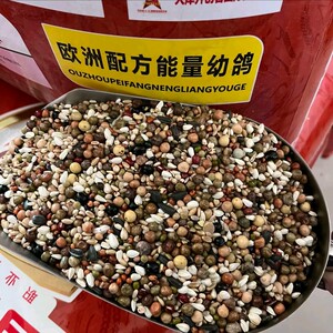 
The best top grade pigeon food energy young pigeon food pigeon racing pigeon young pigeon breeding pigeon food feed 5*0.5kg10*0.5kg50*0.5kg free shipping