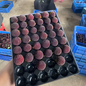 
Yunnan bayberry, water chestnut, black charcoal, freshly picked, seasonal fruit for pregnant women, super sweet, whole box gift box, granules