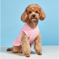 New pet clothing thin solid color ruffle skirt design breathable Teddy Bichon dog dress