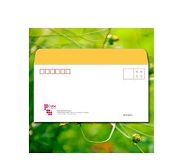 Envelope printing production Envelope customization Customized envelopes Customized No. 5 envelopes 500 single colors
