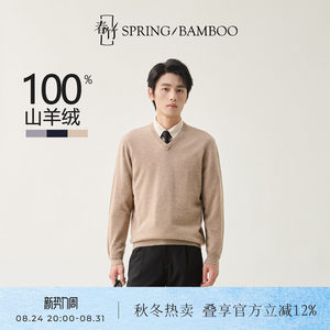 
Chunzhu 100% cashmere comfortable and versatile autumn and winter new knitted sweater V-neck top men's cashmere sweater