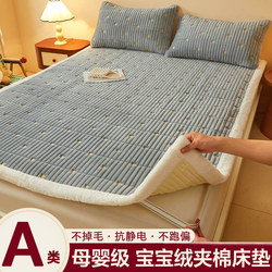 Class a Milk Velvet Mattress Pad, Home Bedding, Winter Single-Person Thickened Warm Bed Blanket, Mattress Pad