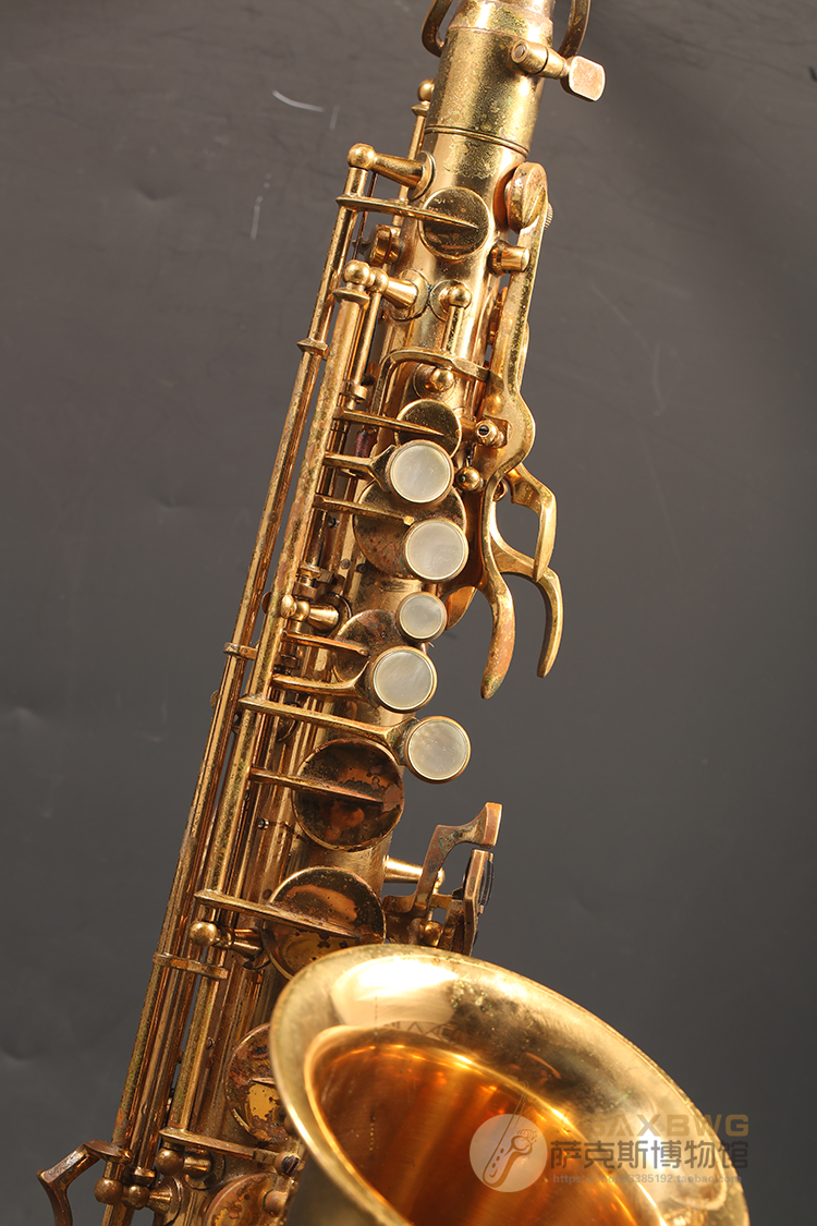 Yanagisawa A3 E-Flat Alto Saxophone - Professional Brass