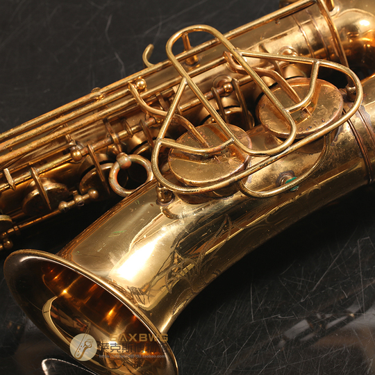Yanagisawa A3 E-Flat Alto Saxophone - Professional Brass