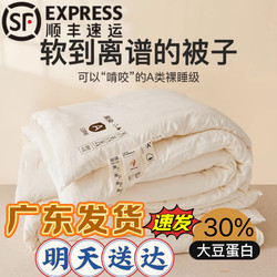   Winter down Quilt Cotton Quilt Air Conditioning Quilt Spring and Autumn Quilt Thickened Warm Student Dormitory Winter Quilt Core