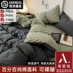 Class a Bedding Four-Piece Set Pure Cotton Bed Sheet Duvet Cover Quilt Cover Fitted Sheet Student Dormitory Single Three-Piece Set 4