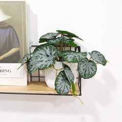 Artificial Monstera Bonsai Indoor Home Decoration Desktop Ornament Floral Greenery Shop Landscaping Fake Green Plants