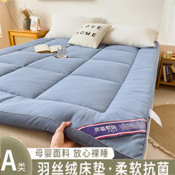 Class a Thickened Hotel Mattress Soft Cushion Home Use Feather Velvet Tatami Mat Student Dormitory Single Mattress Bedding