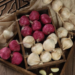 Simulated Garlic Head Model, Purple-Skinned and White-Skinned Garlic, Farmhouse Restaurant Decoration, Vegetable Skewers, Film and Television Shooting Props