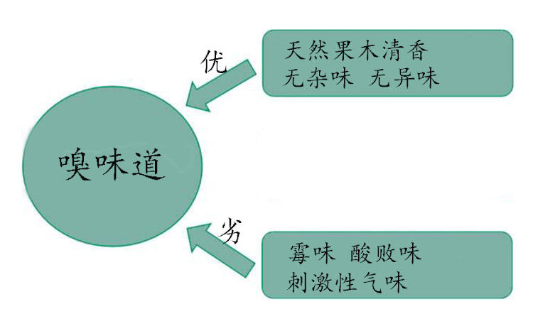 健身益脑，4步挑选优质核桃(图10)