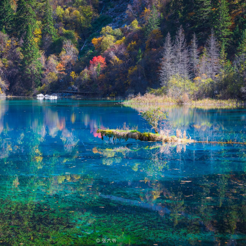 2-8人九寨沟小团5天4晚若尔盖草原 四姑娘山毕棚沟达古冰川 5日游