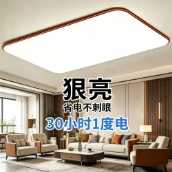 Living Room Ceiling Lamp 2026 New Ultra-Thin Led Modern Simple and Elegant Room Bedroom Hall Lamp Zhongshan Lighting Fixtures