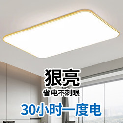 Ultra-Thin Living Room Lamp Main Light Smart Voice-Controlled Led Ceiling Light Bedroom Light Dining Room Eye-Protection Study Balcony Corridor Light