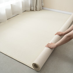 Carpet for Living Room, High-End Sofa Coffee Table Rug, 2025 New Model, Photography Studio Plain Color Full Coverage Background Rug