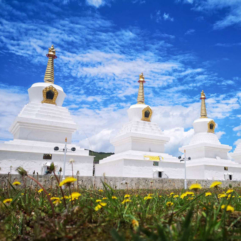 兰州到甘南7天6晚旅游 达古冰川毕棚沟莲宝叶则扎尕那花湖8人小团