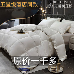 Five-Star Hotel Quilt, Winter Quilt, Thickened and Warm, Feather Velvet Quilt Core, Dormitory Single Student Winter Double Quilt