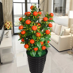 Potted Money Tree Sugar Orange Tree Apple Artificial Tree Artificial Flowers Living Room Decoration Green Green Plant Floor-Standing Plastic Bonsai