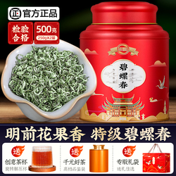 Speciální Vůně Taocha Mingqian Biluochun Tea 2023 Nový čaj Suzhou Alpský Zelený čaj Silná Vůně 500g Dárek