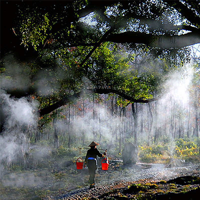 宁德霞浦2日游 杨家溪榕枫公园+小皓滩涂+东壁+日出+东海一号线